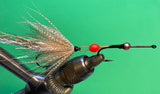 APP Learning Fly Tying with Bill Sherer (Fly Tying App - Beta Version)