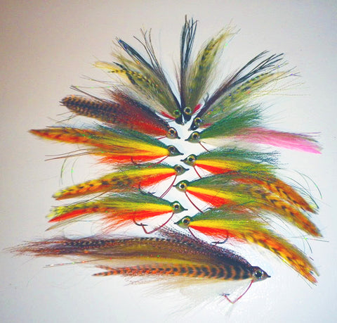 APP Learning Fly Tying with Bill Sherer (Fly Tying App - Beta Version)